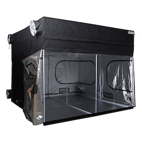Goliath Grow Tent 10ft x 10ft x 6ft11in - 7ft11in