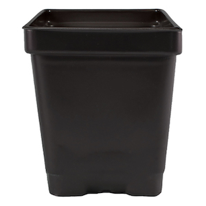 3.25'' x 3.25'' x 3.5'' 0.5qt Square Pot
