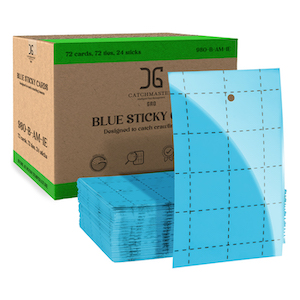 Catchmaster 3" x 5" Double-Sided Blue Sticky Card Pest Monitors (72pcs/Pack)