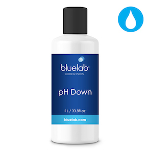 Bluelab pH Down 1 Liter