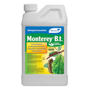Monterey B.t. 1 Quart