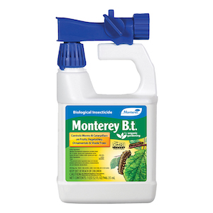 Monterey B.t. 32 fl oz RTS