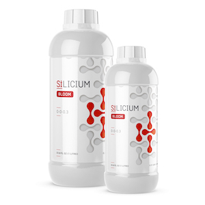 Silicium Bloom 250 ML